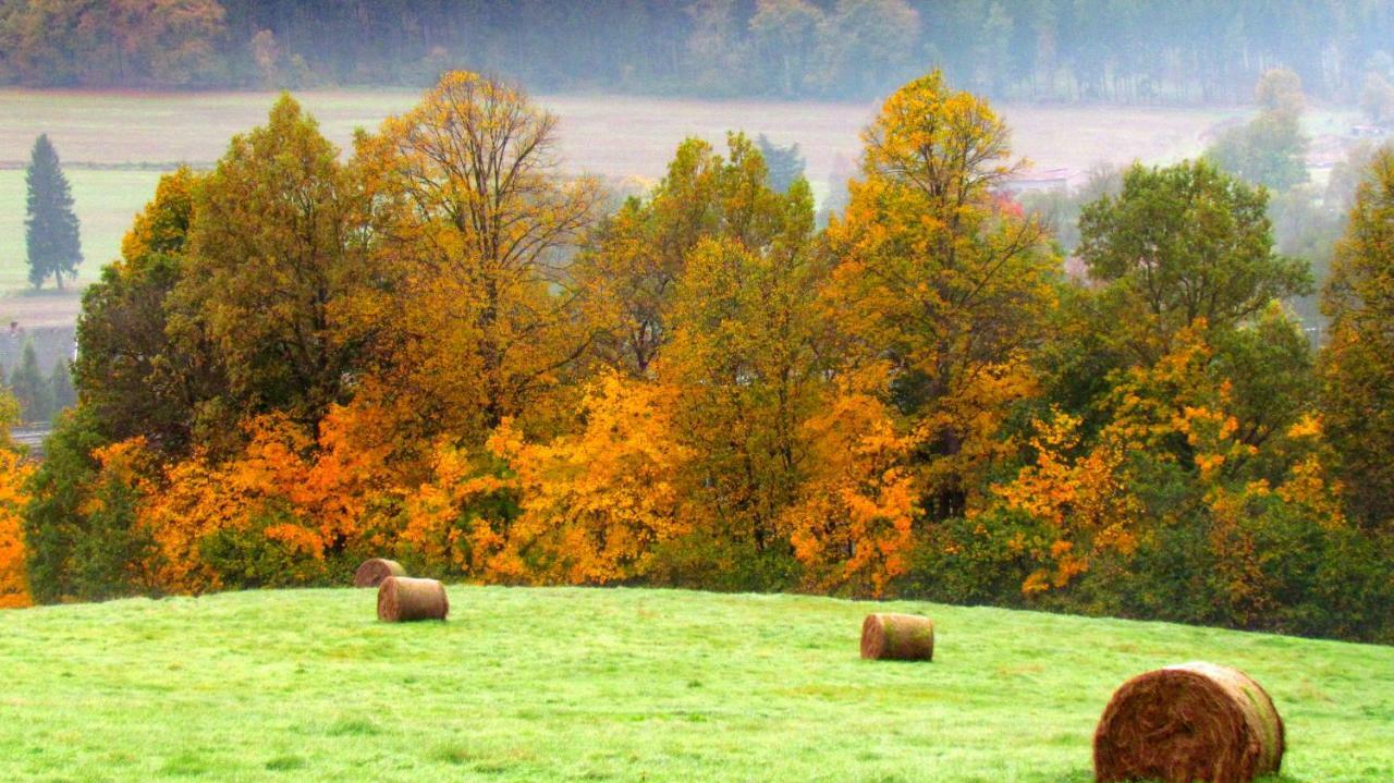 Agro Na Gorce Villa Barcinek Rum bild
